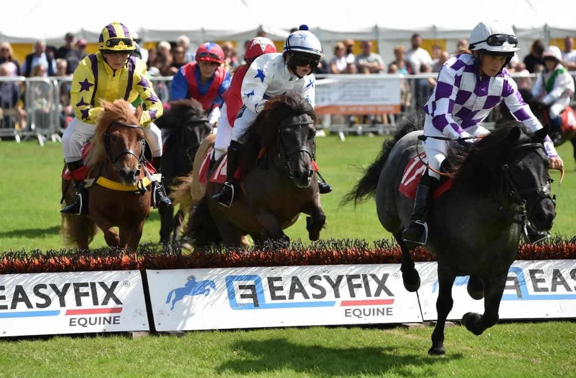 Young jockeys race Shetland ponies over jumps in the Shetland Pony Grand National, an exciting equestrian event at Bolesworth International Horse Show.