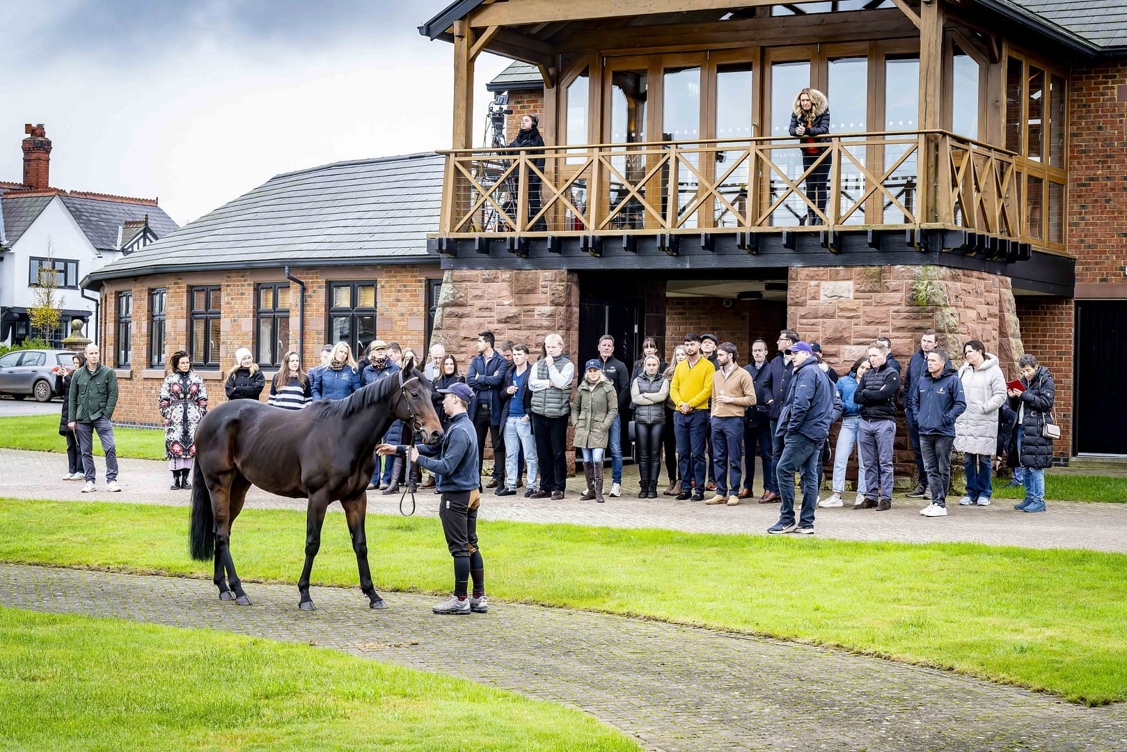 A thoroughbred horse being presented to a crowd of potential buyers at the Bolesworth Elite Auction 2024, set against the stunning equestrian backdrop of Manor House Stables.