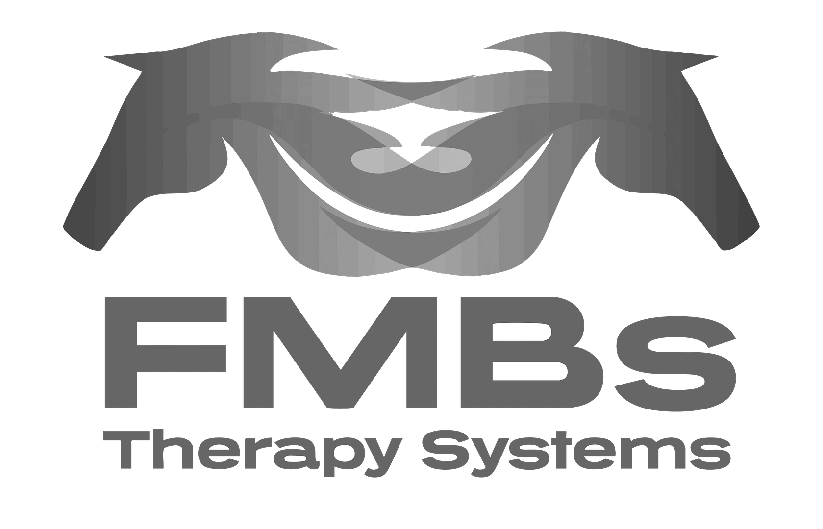 FMBs Therapy Systems Logo image