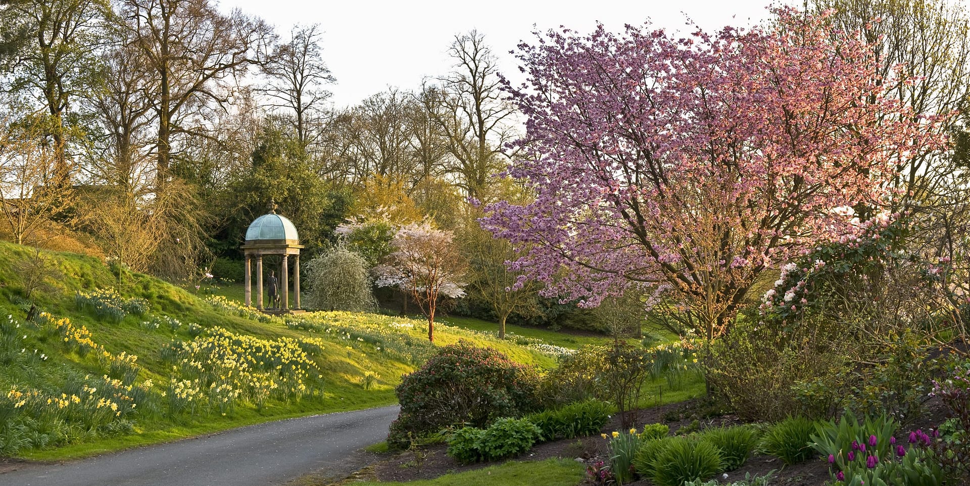 A picturesque spring landscape at Bolesworth Estate, featuring the Diana the Huntress statue within an elegant domed pavilion. The winding estate drive is flanked by vibrant daffodils, blossoming cherry trees, and lush greenery, creating a serene and enchanting atmosphere. The golden light enhances the tranquil beauty of this historic estate setting.
