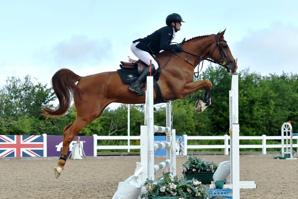 A powerful chestnut showjumper, Carrasco Z, clears a technical course with ease and precision. Originally purchased as a foal at the 2018 Elite Auction, this horse has developed into an elite-level competitor, demonstrating athleticism, scope, and competitive spirit in the showjumping arena.