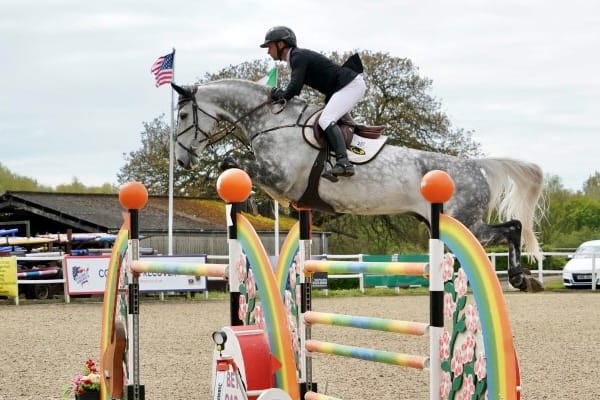 A powerful grey showjumper, Millfield Crisis, clearing a vibrant rainbow jump at a professional equestrian event. The horse and rider demonstrate exceptional form and precision in mid-air, showcasing elite-level performance and the success of auction-bought horses.