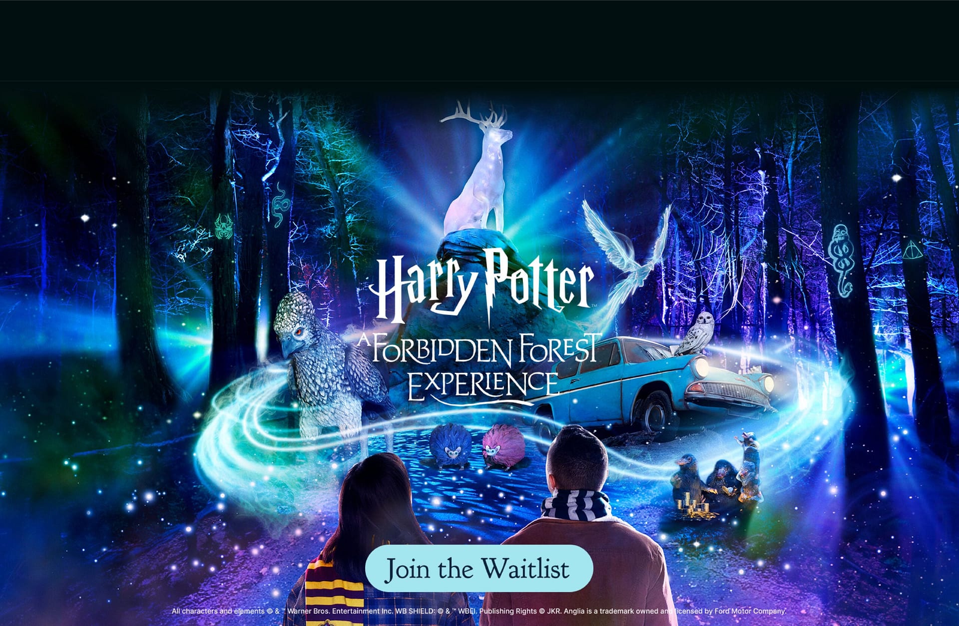 Harry Potter Forbidden ForestTM - Bolesworth